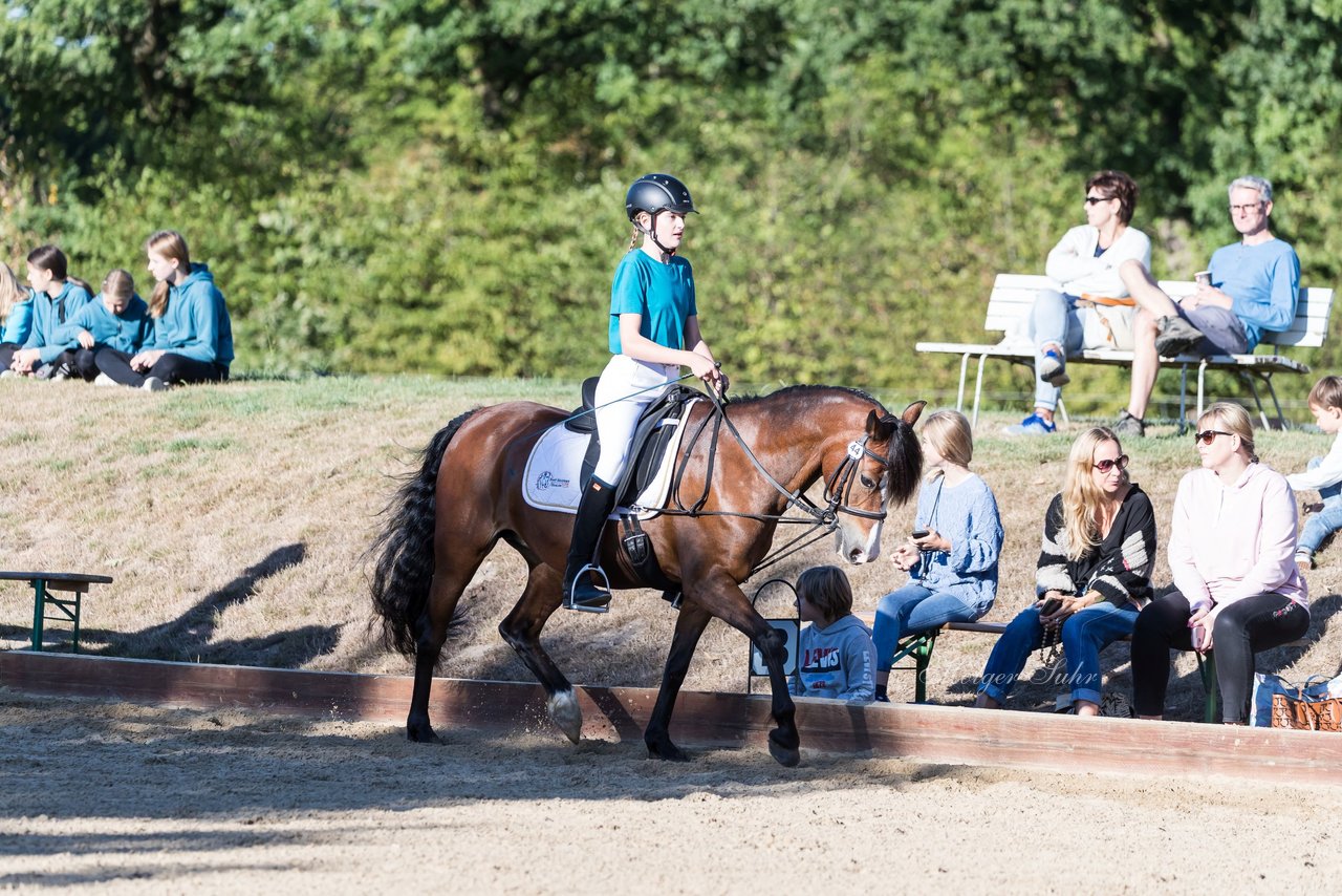 Bild 36 - Pony Akademie Turnier